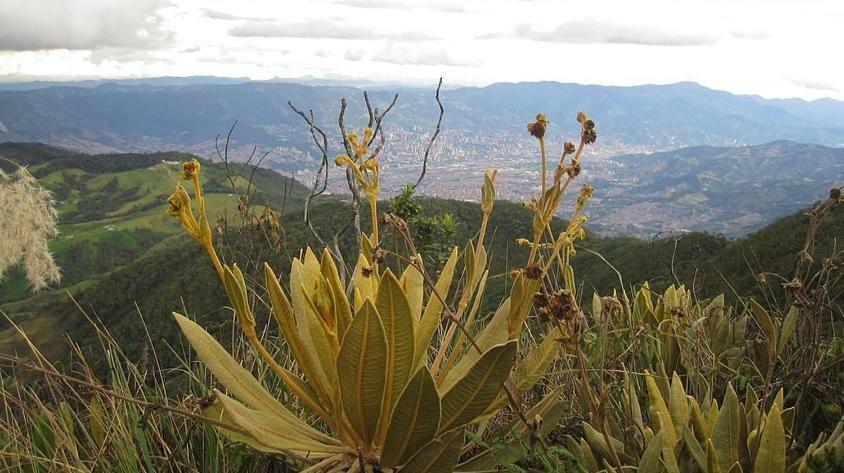 Hébergement de vacances Llanitos Campestre *